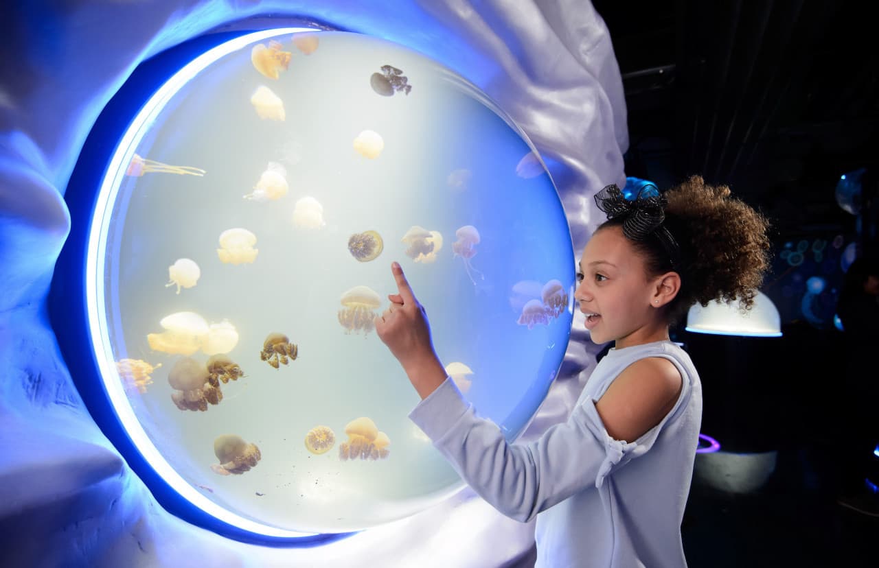 COMBO: SEA LIFE London Aquarium + FREE Hubby eSim - image 9